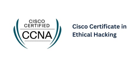 Cisco (3)