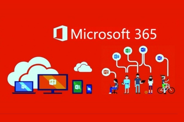 MS 365